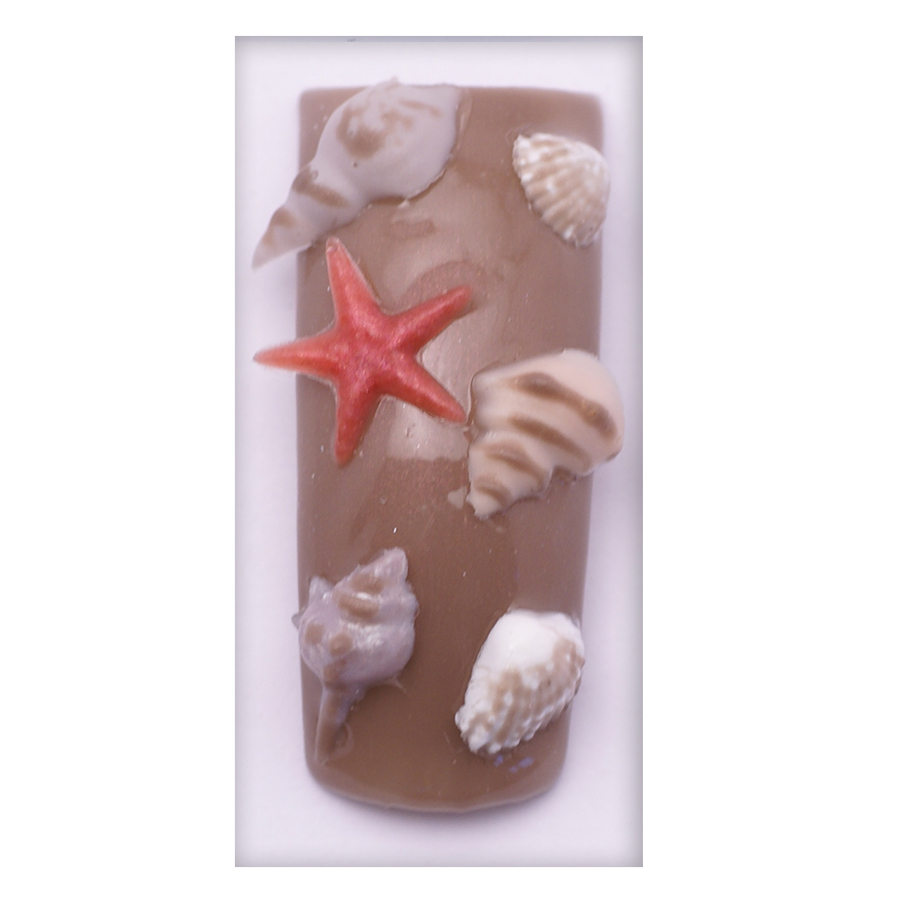 Gel Molds Seashell